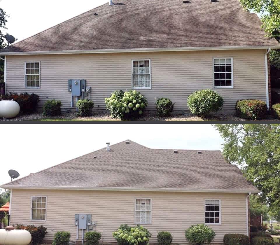 What Are Those Black Streaks on Your Roof? (And How to Remove Them)